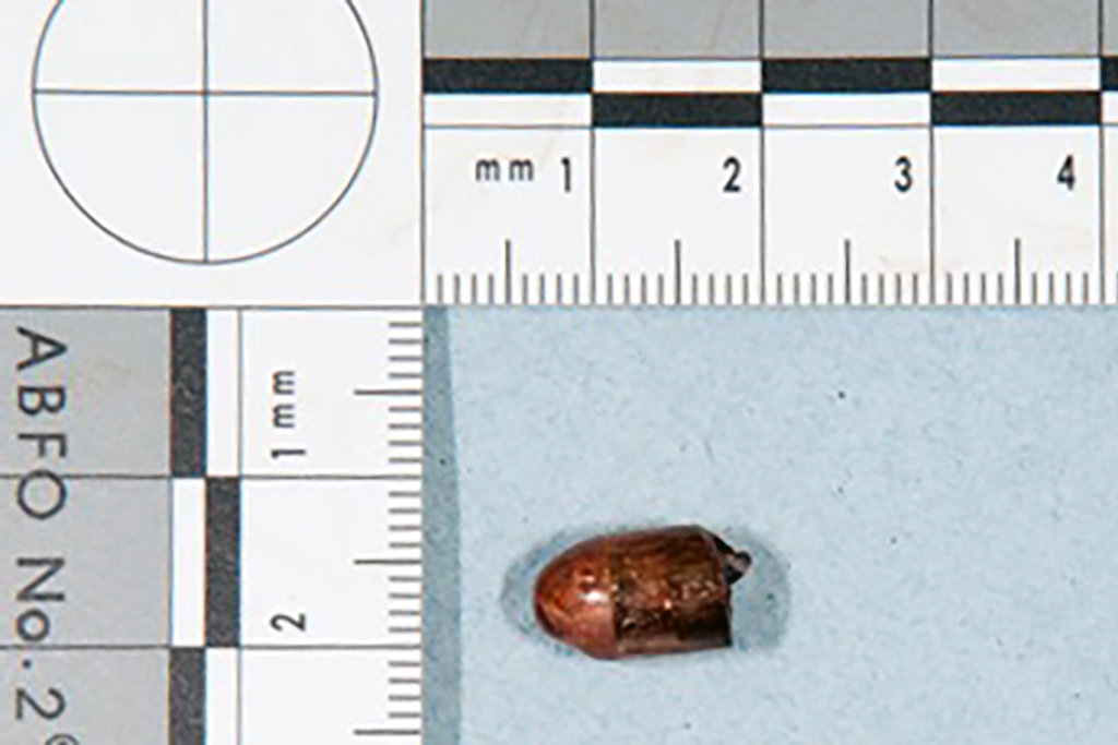 John Palmer bullet