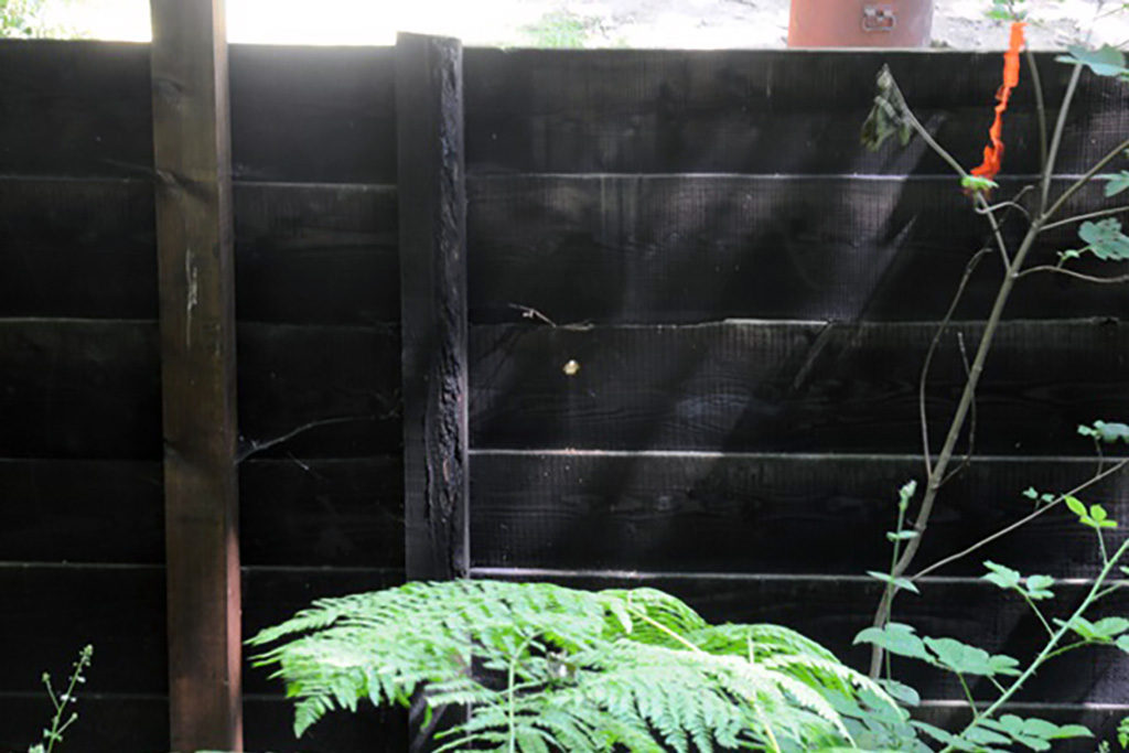 John Palmer hole in fence