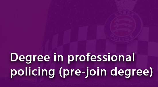 I have or am in my final year of studying for an undergraduate degree in professional policing