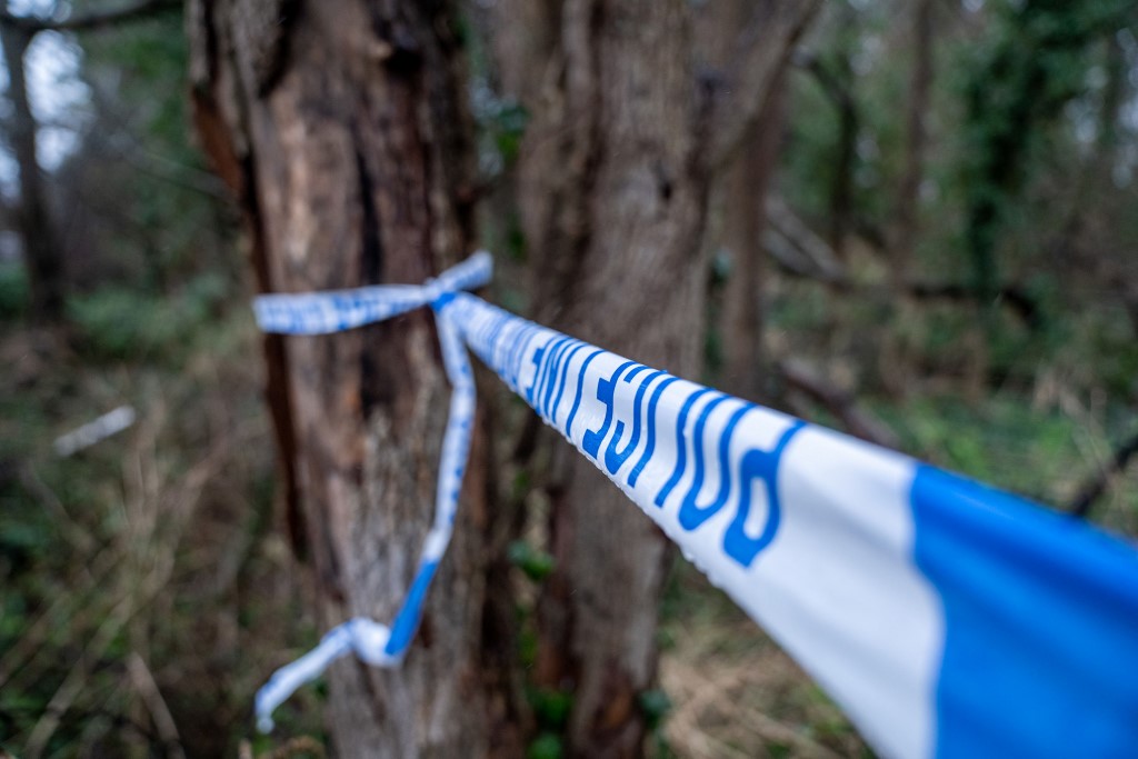 Police tape tied to tree