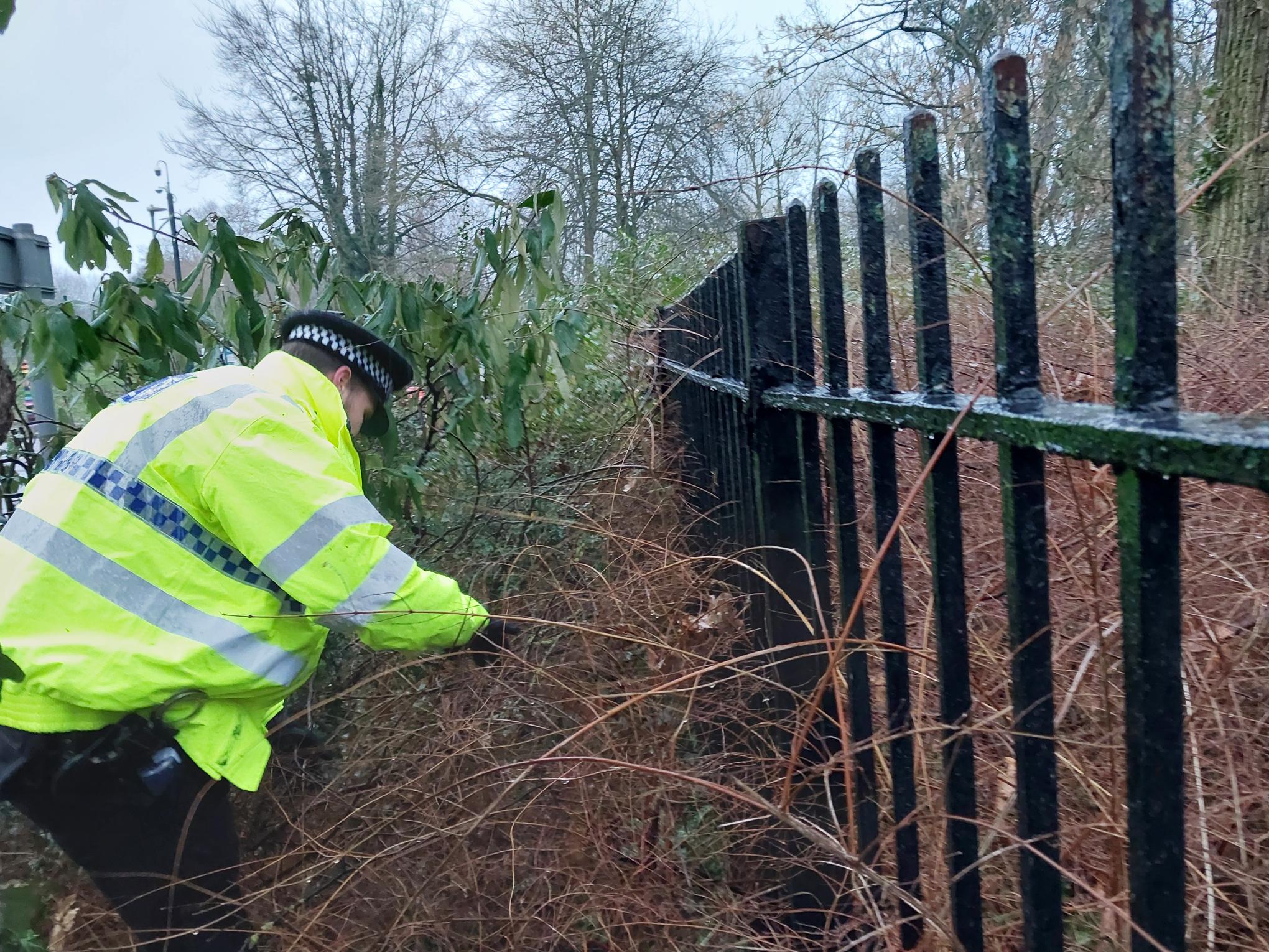 20250211 Colchester knife sweep Castle Park