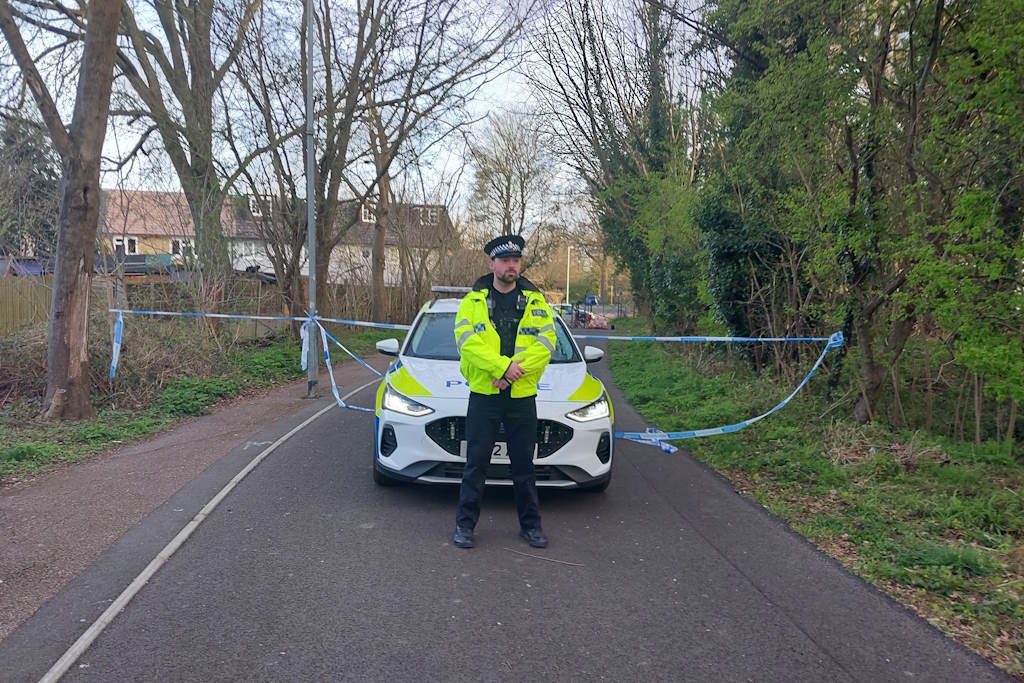 Harlow murder scene (SOH)