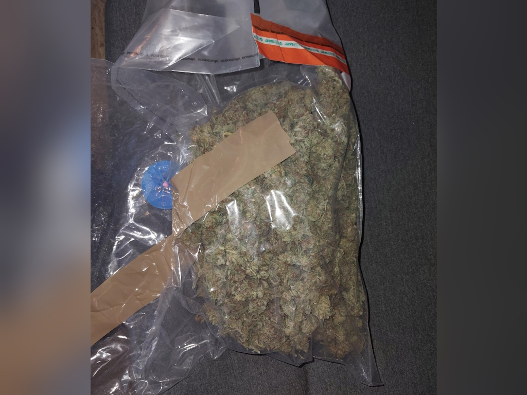Suspected cannabis seized