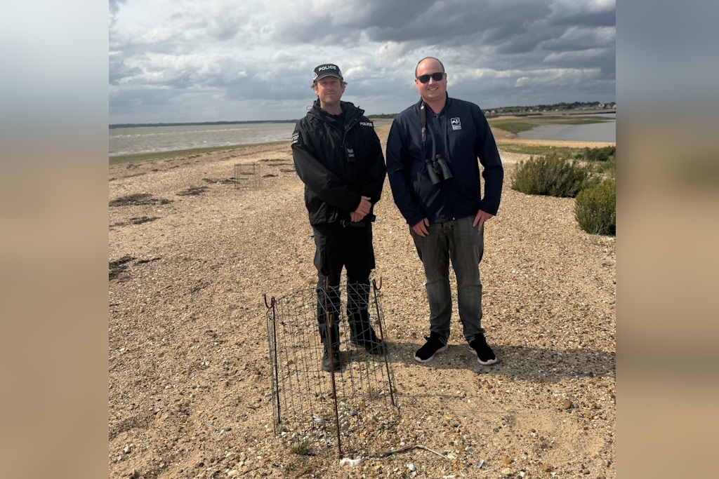 A uniformed Essex Police marine officer and a member of Essex Wildlife Trust look at a ringed plover's nest protected by wire mesh on a shingle spit