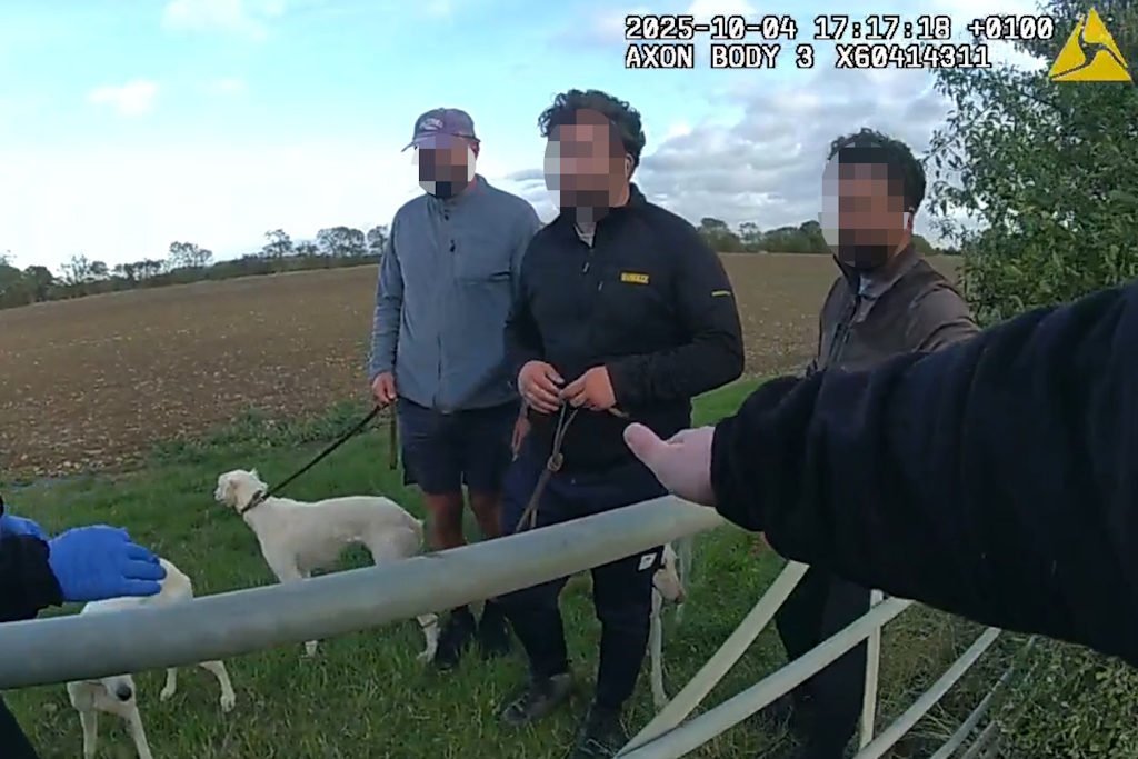 An image from an Essex Police body-worn video camera showing three men whose faces are blurred, with three dogs on leads, speaking to Essex Police officers out of view from the camera. they are standing in a field next to a metal farm gate