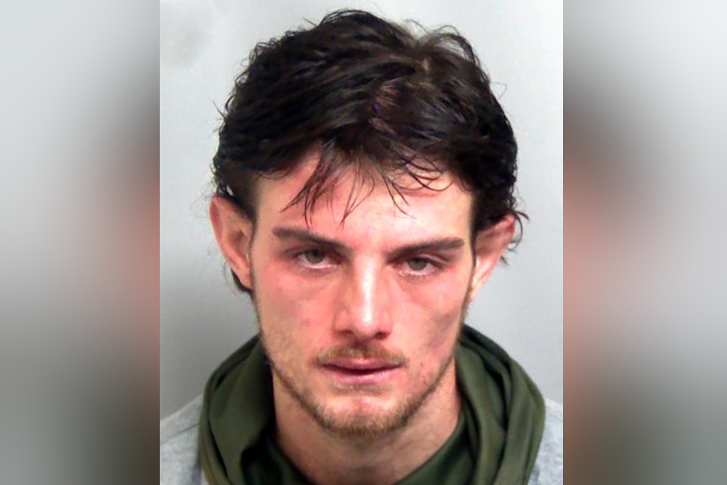 Essex Police custody image