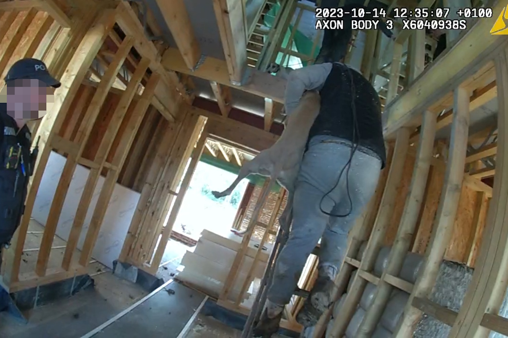 A man clutching a dog climbs backwards down a ladder in a half-built brick house, watched by a uniformed Essex Police officer