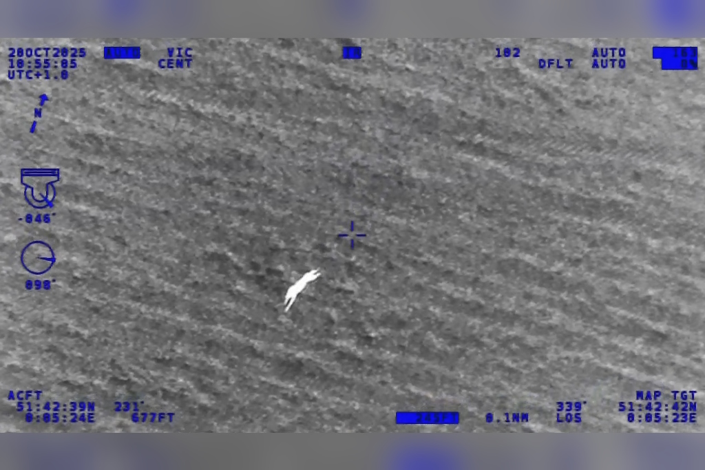 A screenshot of infra-red footage from a National Police Air Service helicopter  showing a lurcher racing across a ploughed field