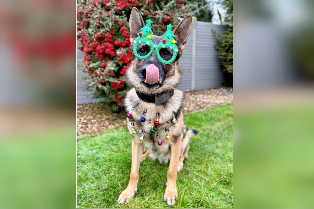 PD Andy wearing Christmas glasses