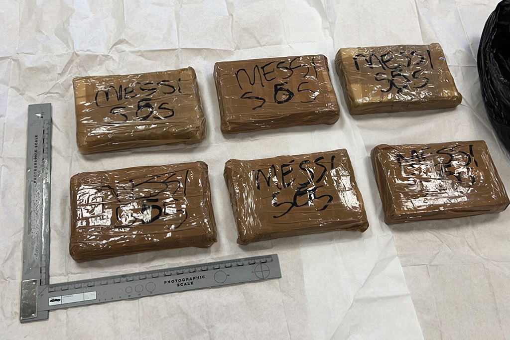 Dendle drugs seized