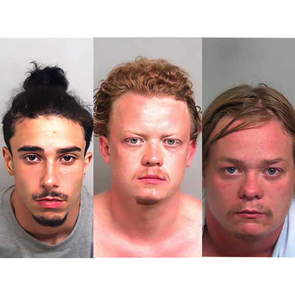 Three mugshot custody images