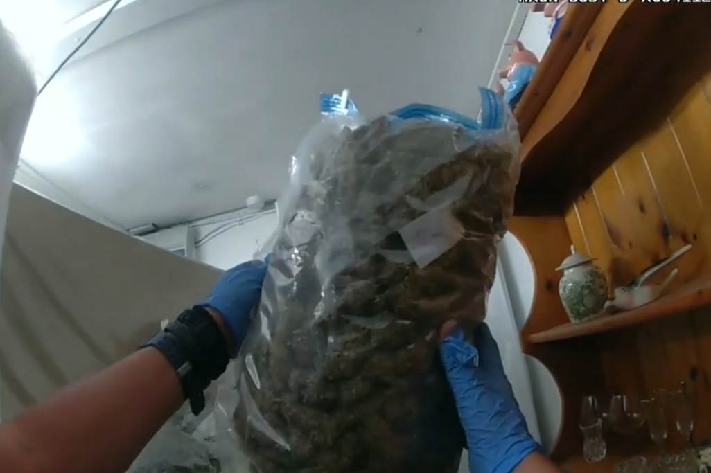 Cannabis seized
