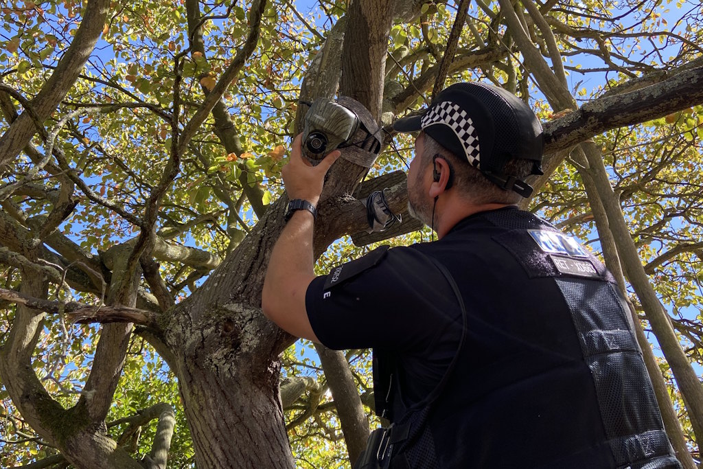 A uniformed Essex Police rural engagement officer fitting a trail camera to a tree branch, next to its solar panel. The sun is shining through the tree's leaves