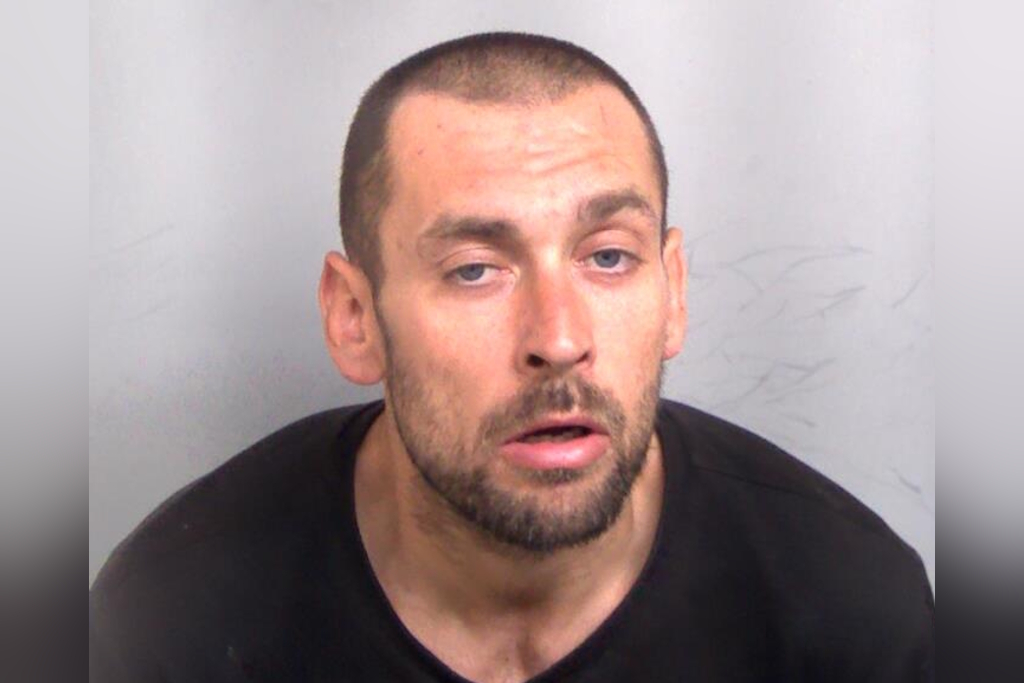 Essex Police custody image