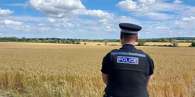 Police officer standing at the edge of a large wheat field, looking across open countryside under a blue sky with clouds.