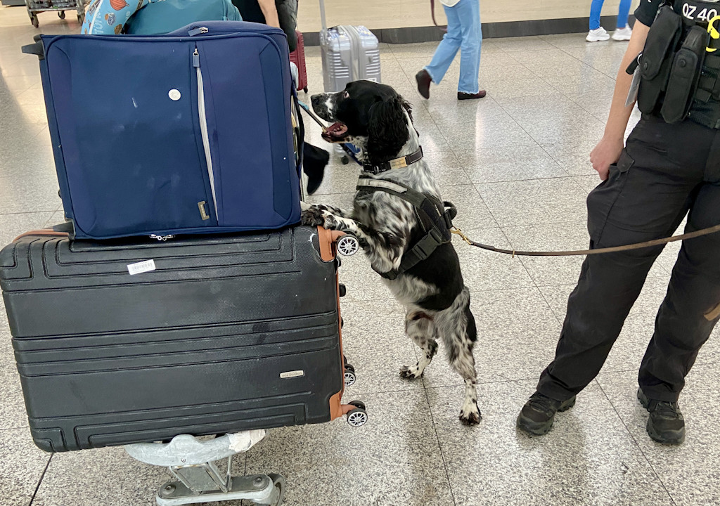 Stansted: Cash and cigarettes seized as officers target organised ...