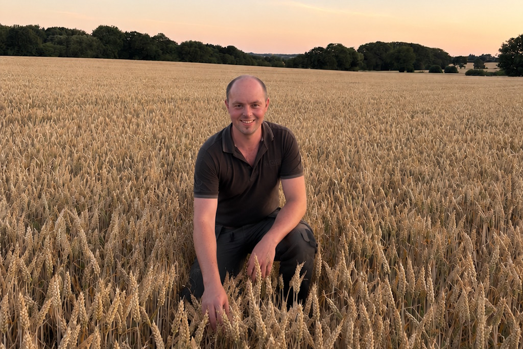 A farmer crouching in a golden wheat field at sunset, smiling at the camera