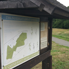 Image of Thundersley