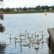 Image of Hockley and Hullbridge